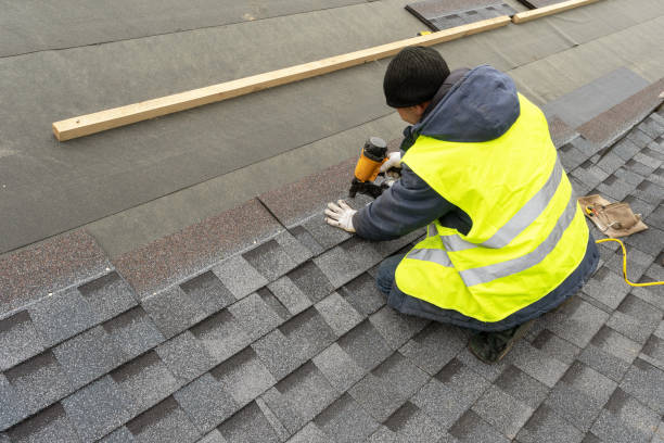 Best Local Roofing Companies  in Minot Af, ND