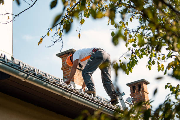 Best Roof Repair Services  in Minot Af, ND