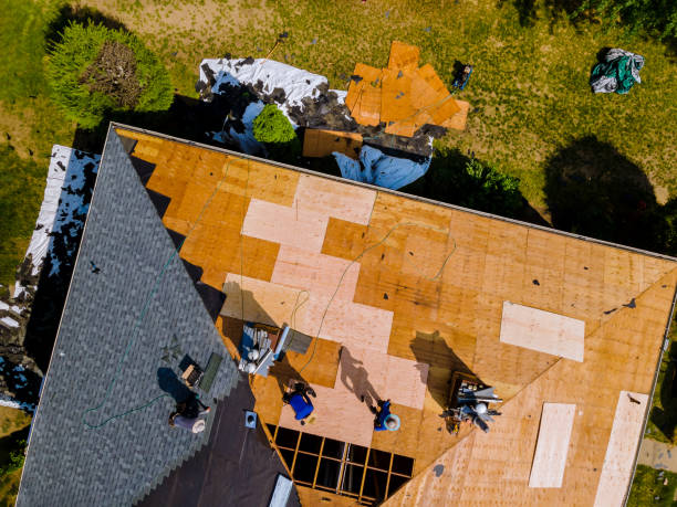 Best Commercial Roofing Services  in Minot Af, ND