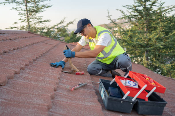 Best New Roof Installation  in Minot Af, ND